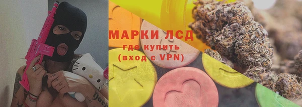 индика Осташков