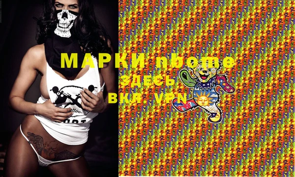 индика Осташков