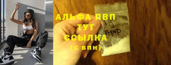 PSILOCYBIN Бронницы