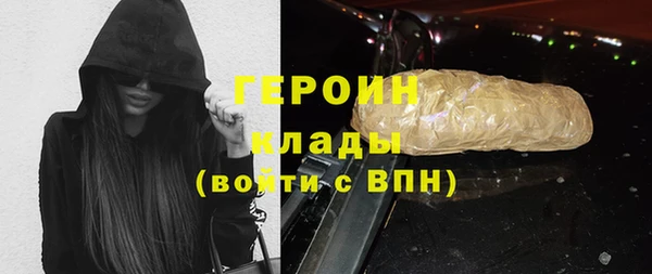 индика Осташков