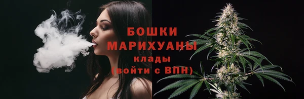 МДПВ Осинники