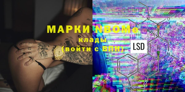 индика Осташков