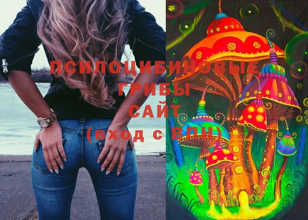 МДПВ Осинники