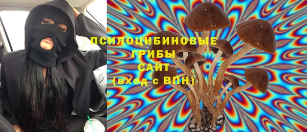 МДПВ Осинники