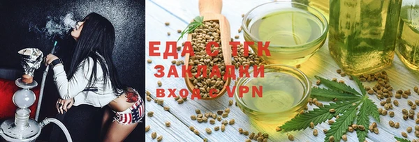 индика Осташков