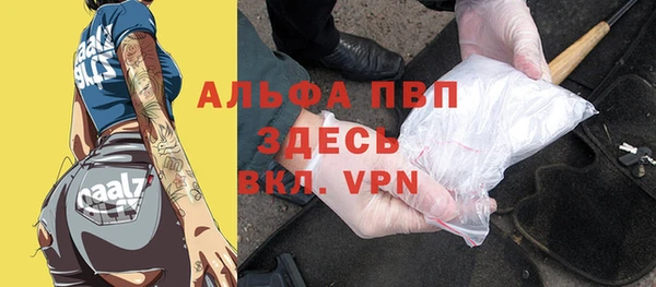 индика Осташков