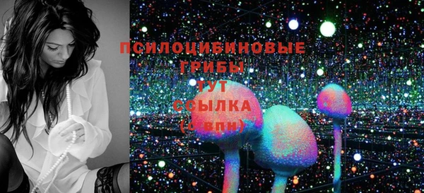 МДПВ Осинники