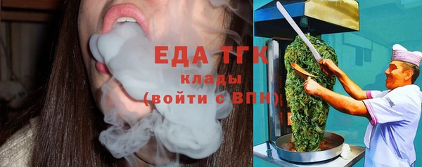 индика Осташков