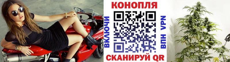 Конопля AK-47  где купить наркоту  Бежецк 